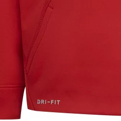 Boys 4-7 Nike Therma-FIT Swoosh Pullover Hoodie -Nike outlet shop 5066729 ALT2